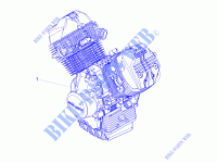 Motor Completeringen voor MOTO GUZZI V7 III Anniversario 750 E4 ABS 2017